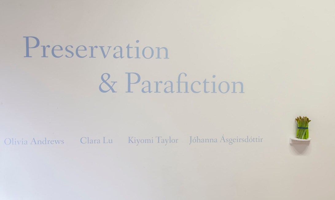 2a4b3d60-3b62-4e7d-9bf8-614ef32ec0ea-384-00000038baccb2da