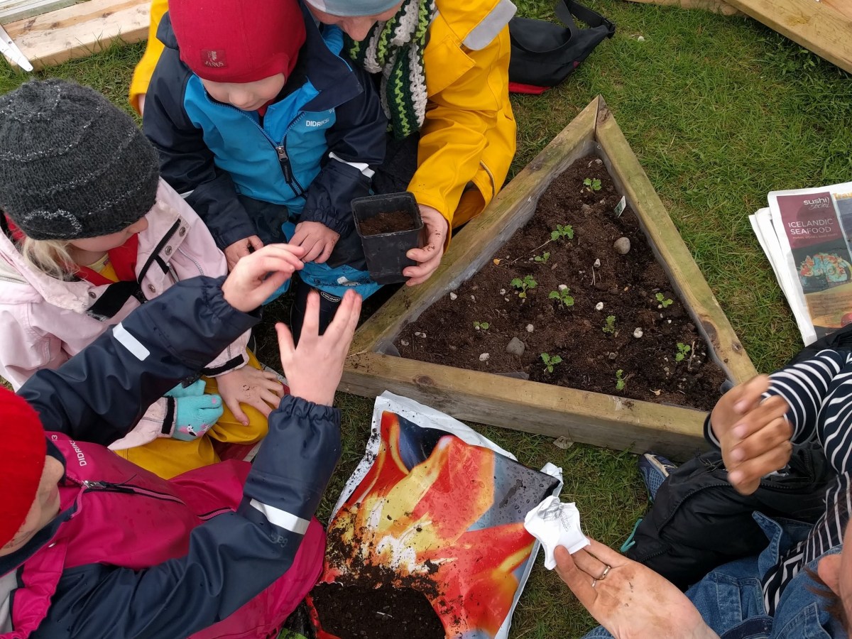 Planting Seeds in the CD-dome: Saturday June&nbsp;23rd