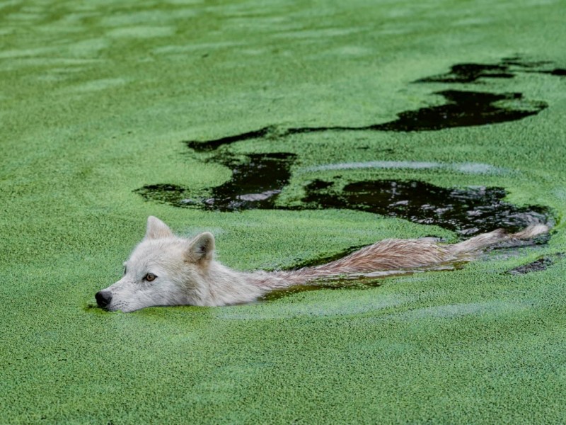 Environmental anxiety and the importance of&nbsp;self-care