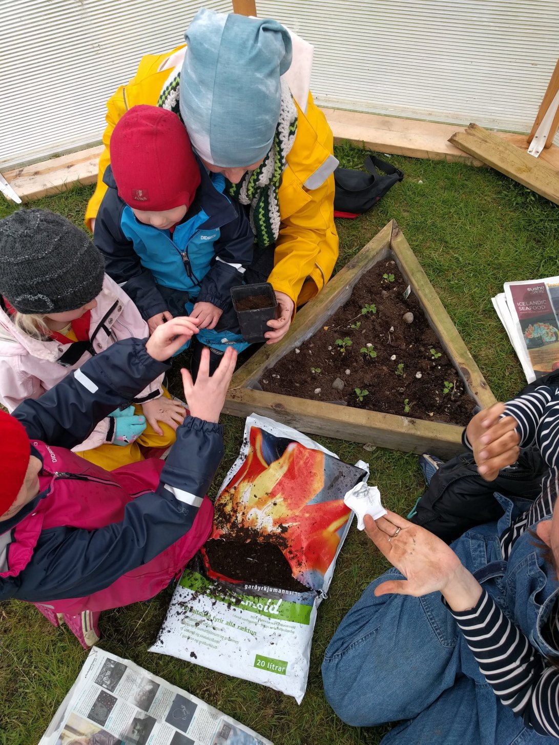 Gróðursett í Geislahvelfingunni: viðburður laugardag 23. júní
